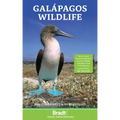 Galapagos Wildlife