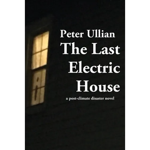 The Last Electric House: a post-climate disaster novel