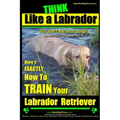 Think Like a Labrador, But Don't Eat Your Poop! Labrador Breed Expert Dog Training: Here's Exactly How to Train Your Labrador