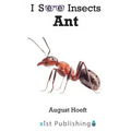 Ant