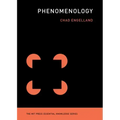 Phenomenology