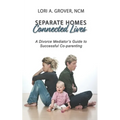 Separate Homes, Connected Lives: A Divorce Mediator's Guide to Successful Co-Parenting
