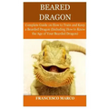 Bearded Dragon: Complete Guide on How to Train and Keep a Bearded Dragon (Including How to Know the Age of Your Bearded Dragon)