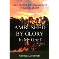 Ambushed by Glory in My Grief