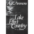 Lake Effect Country: Poems