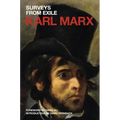 Surveys from Exile