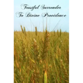 Trustful Surrender To Divine Providence