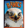 Hawks