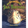 Endangered Sea Turtles