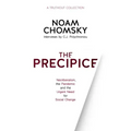 The Precipice: Neoliberalism, the Pandemic and Urgent Need for Social Change