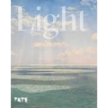 Light: How Art Captures Radiance How Art Captures Illumination