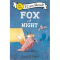 Fox at Night