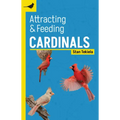 Attracting & Feeding Cardinals