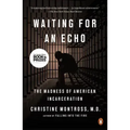 Waiting for an Echo: The Madness of American Incarceration