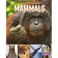 Mammals
