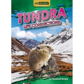 Tundra Life Connections