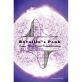 Bataille's Peak: Energy, Religion, and Postsustainability