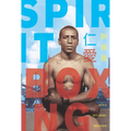 Spirit Boxing