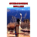 Overcoming Bullies: The Third Step on the Native Strength Path