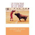 La estocada de la tarde