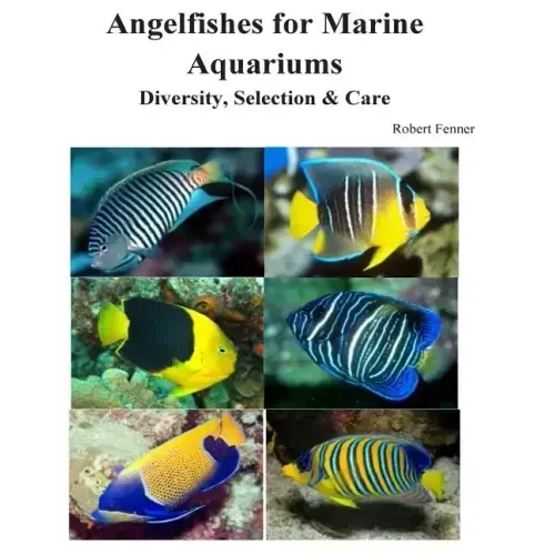 Angelfishes for Marine Aquariums: Diversity, Selection & Care