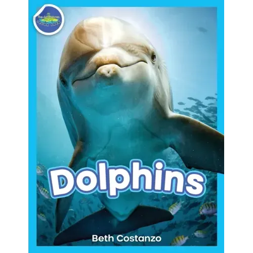 Dolphins!