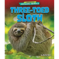 Three-Toed Sloth