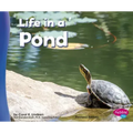 Life in a Pond