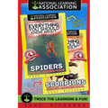 Everything You Should Know About: Scorpions and Spiders