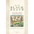 After the Black Death: Economy, Society, and the Law in Fourteenth-Century England