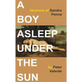 A Boy Asleep Under the Sun: Versions of Sandro Penna