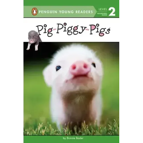 Pig-Piggy-Pigs
