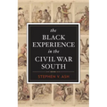 The Black Experience in the Civil War South