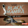Black Mamba: Fast and Deadly