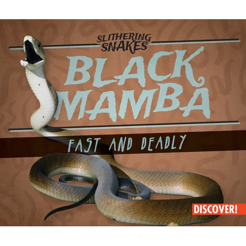 Black Mamba: Fast and Deadly
