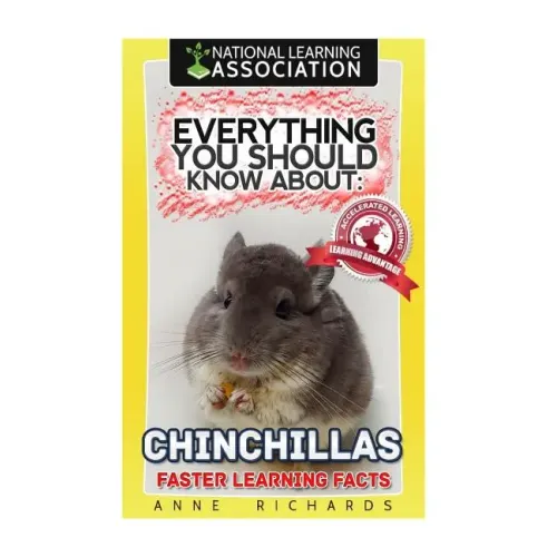 Everything You Should Know About: Chinchillas