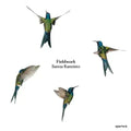 Sanna Kannisto: Fieldwork (Signed Edition)