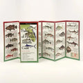 Fishes of Florida's Atlantic Coast