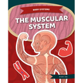 Muscular System