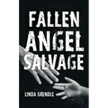 Fallen Angel Salvage