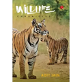 Wildlife Chronicles