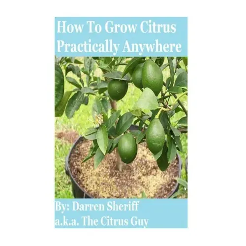 How To Grow Citrus Practically Anywhere