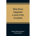 What never happened; a novel of the revolution