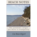 Beach Notes: The pandemic surges yet there is tranquility