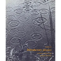 Introductory Physics: A Model Approach