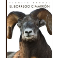El Borrego Cimarrón
