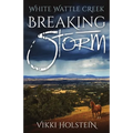 Breaking Storm