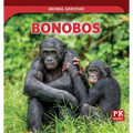 Bonobos