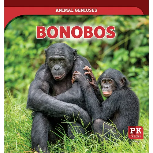 Bonobos