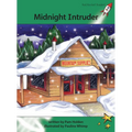 Midnight Intruder
